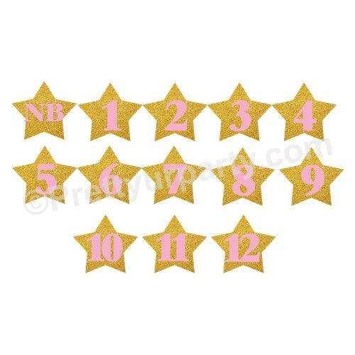 Gold Star Monthly Photo Banner THEME PARTIES Pretty UR Party