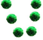 Green Pom Pom Garland DECORATIONS Pretty UR Party