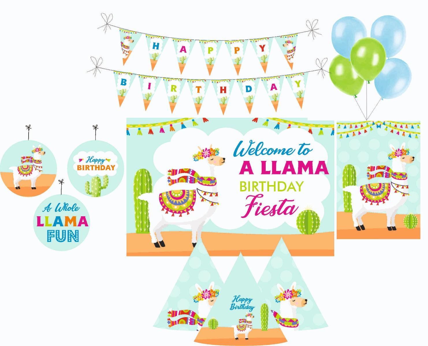 Llama Party Decorations Package - 70 pieces Combo PACKAGES Pretty UR Party Default Title