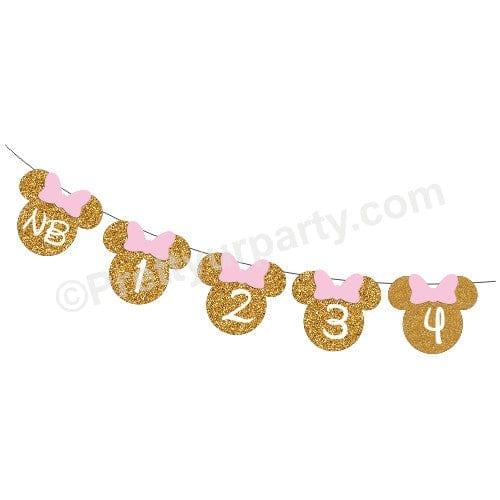 Pink and Gold Shaped Monthly Photo Banner THEME PARTIES Pretty UR Party