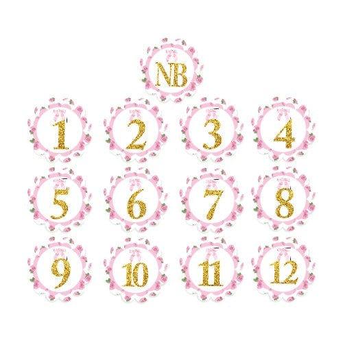 Shabby Chic Monthly Photo Banner for Baby Girls DECORATIONS Pretty UR Party