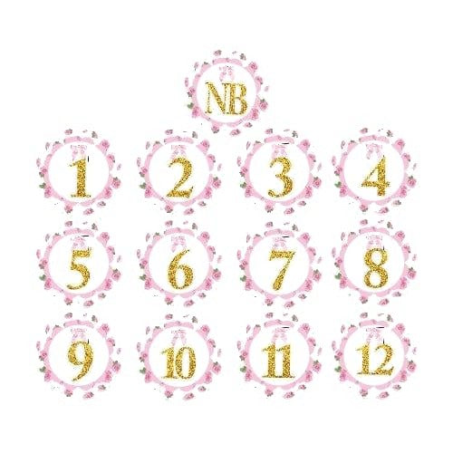 Shabby Chic Monthly Photo Banner for Baby Girls — image 2