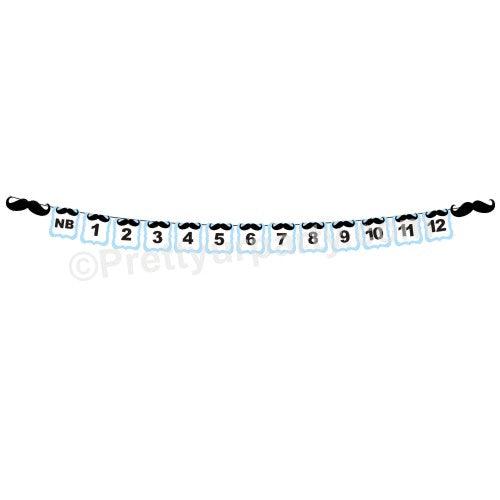 Moustache Monthly Photo Banner THEME PARTIES Pretty UR Party