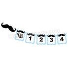 Moustache Monthly Photo Banner THEME PARTIES Pretty UR Party