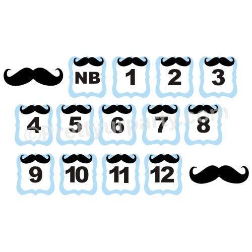 Moustache Monthly Photo Banner THEME PARTIES Pretty UR Party