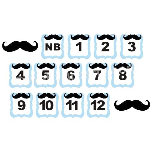 Moustache Monthly Photo Banner