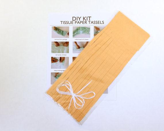 Peach Tassel Garland Kit - Set of 5 DECORATIONS Pretty UR Party