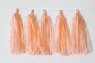 Peach Tassel Garland Kit - Set of 5 DECORATIONS Pretty UR Party
