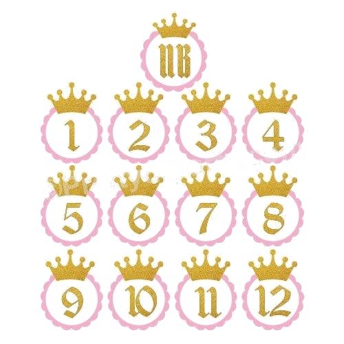 Pink and Gold Crown Monthly Photo Banner