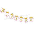 Pink and Gold Crown Monthly Photo Banner THEME PARTIES Pretty UR Party