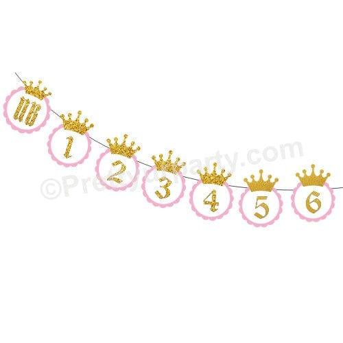 Pink and Gold Crown Monthly Photo Banner THEME PARTIES Pretty UR Party