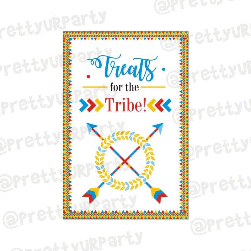 Wild One Poster 03 ALL PARTY SUPPLIES Pretty UR Party