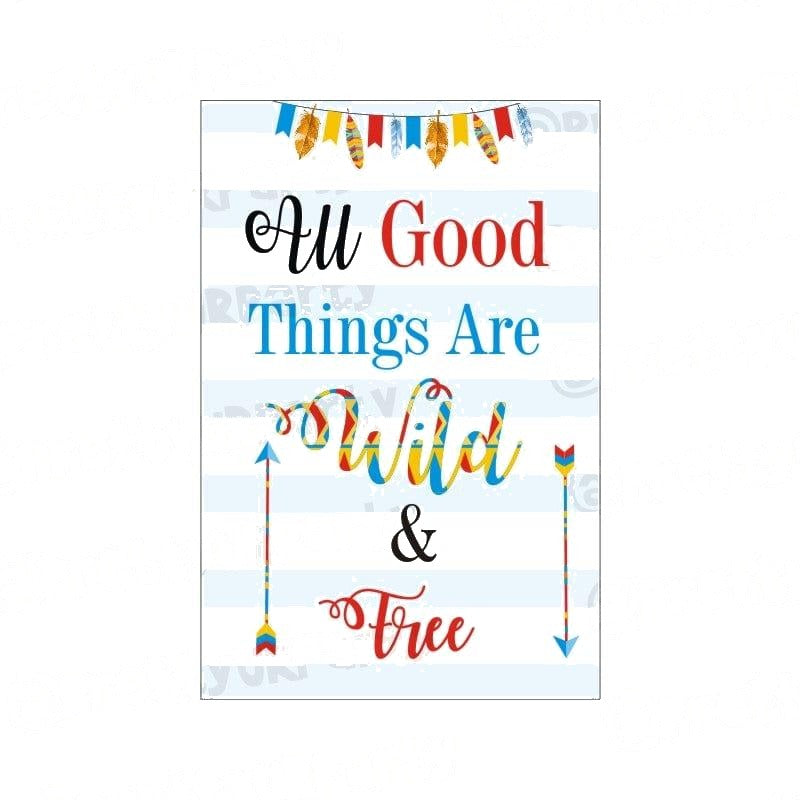 Wild One Poster 04
