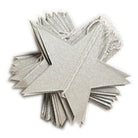 Silver Stars Paper Garland DECORATIONS Pretty UR Party
