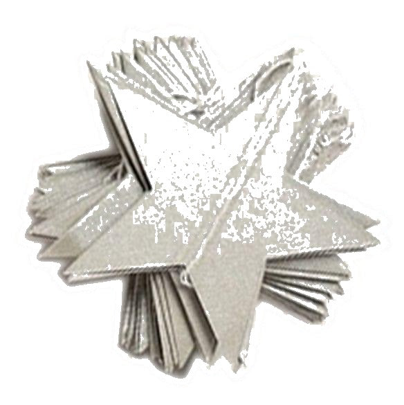 Silver Stars Paper Garland