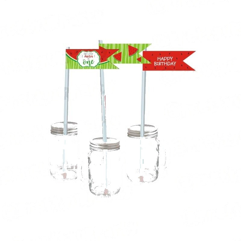 Watermelon Theme Drink Straws