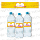 My little Sunshine 1st birthday Bottle Labels ALL PARTY SUPPLIES Pretty UR Party Default Title