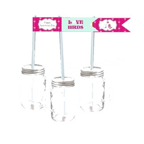 Love Birds Valentines Theme Drink Straws