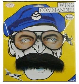 Wing Commander Set ALL PARTY SUPPLIES Pretty UR Party
