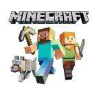 Minecraft Theme Party Supplies