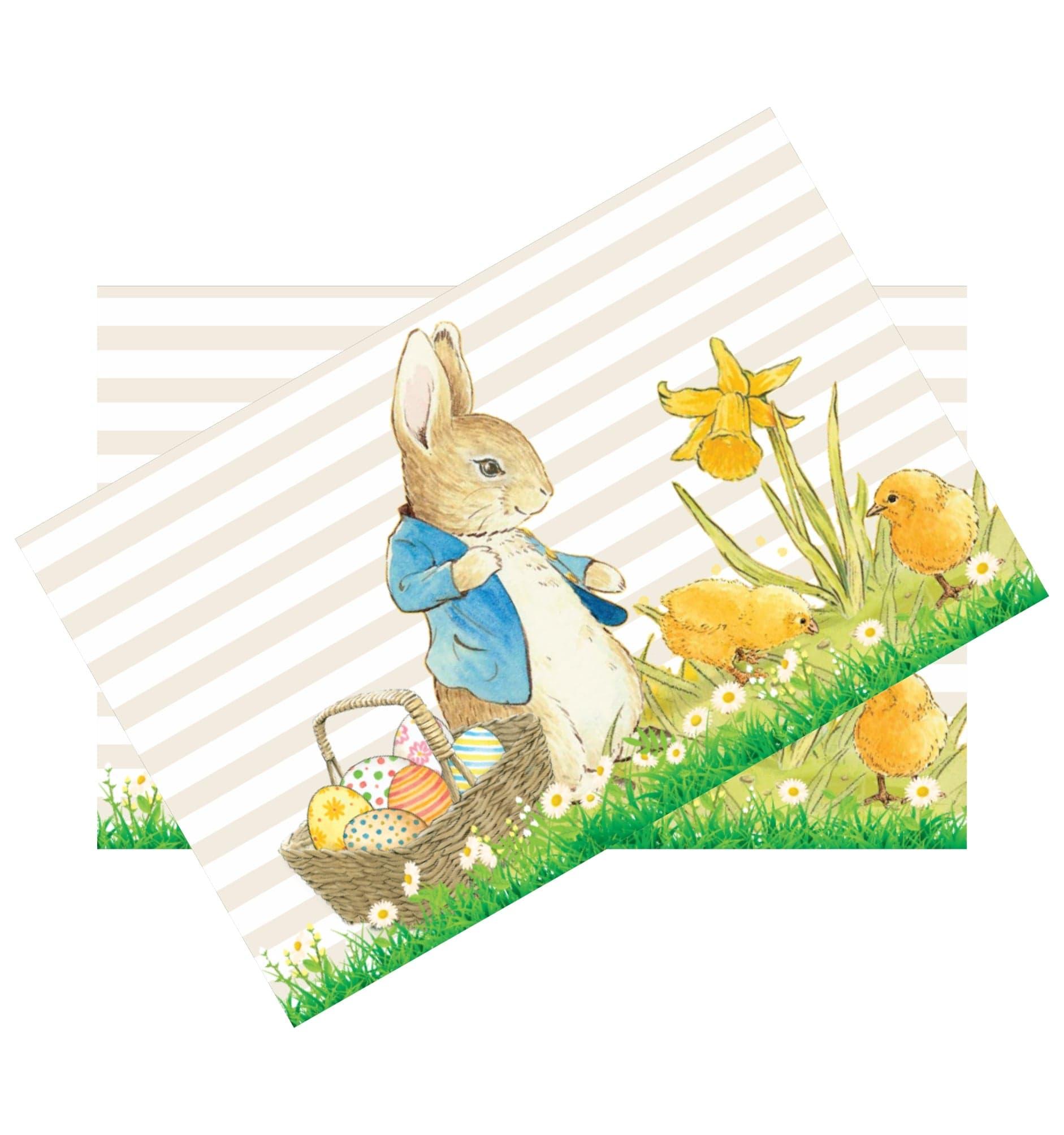 Peter Rabbit Theme Table Mats THEME PARTIES Pretty UR Party   