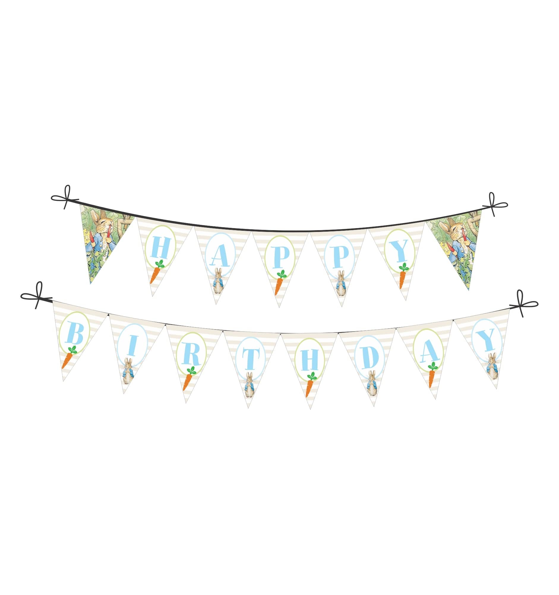 Peter Rabbit Theme Bunting DECORATIONS Pretty UR Party   