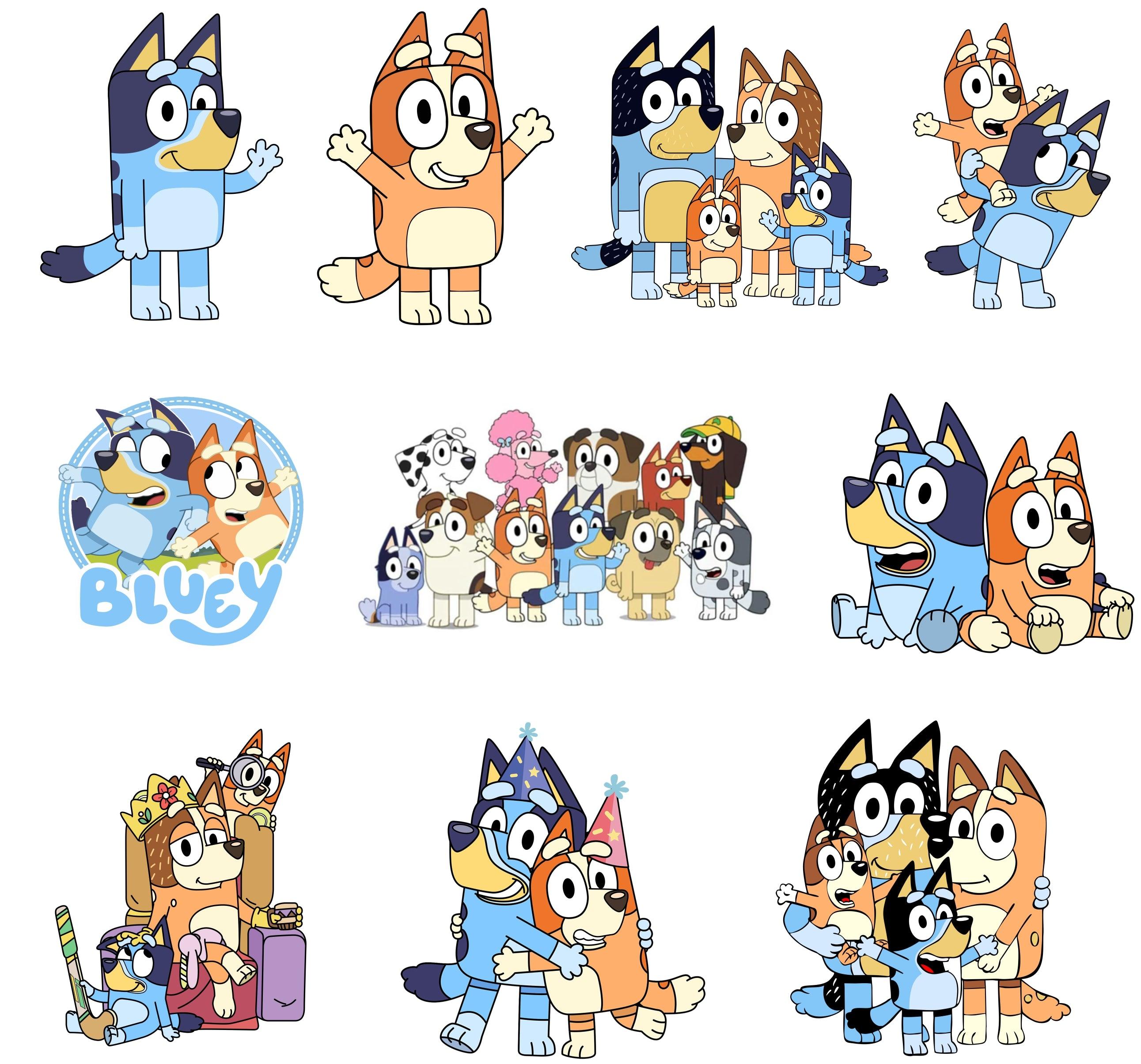Bluey Theme Cutouts THEME PARTIES Pretty UR Party   