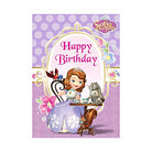 Disney Sofia the first Party Decorations Kit - 80 pieces combo pack THEME PARTIES Pretty UR Party   