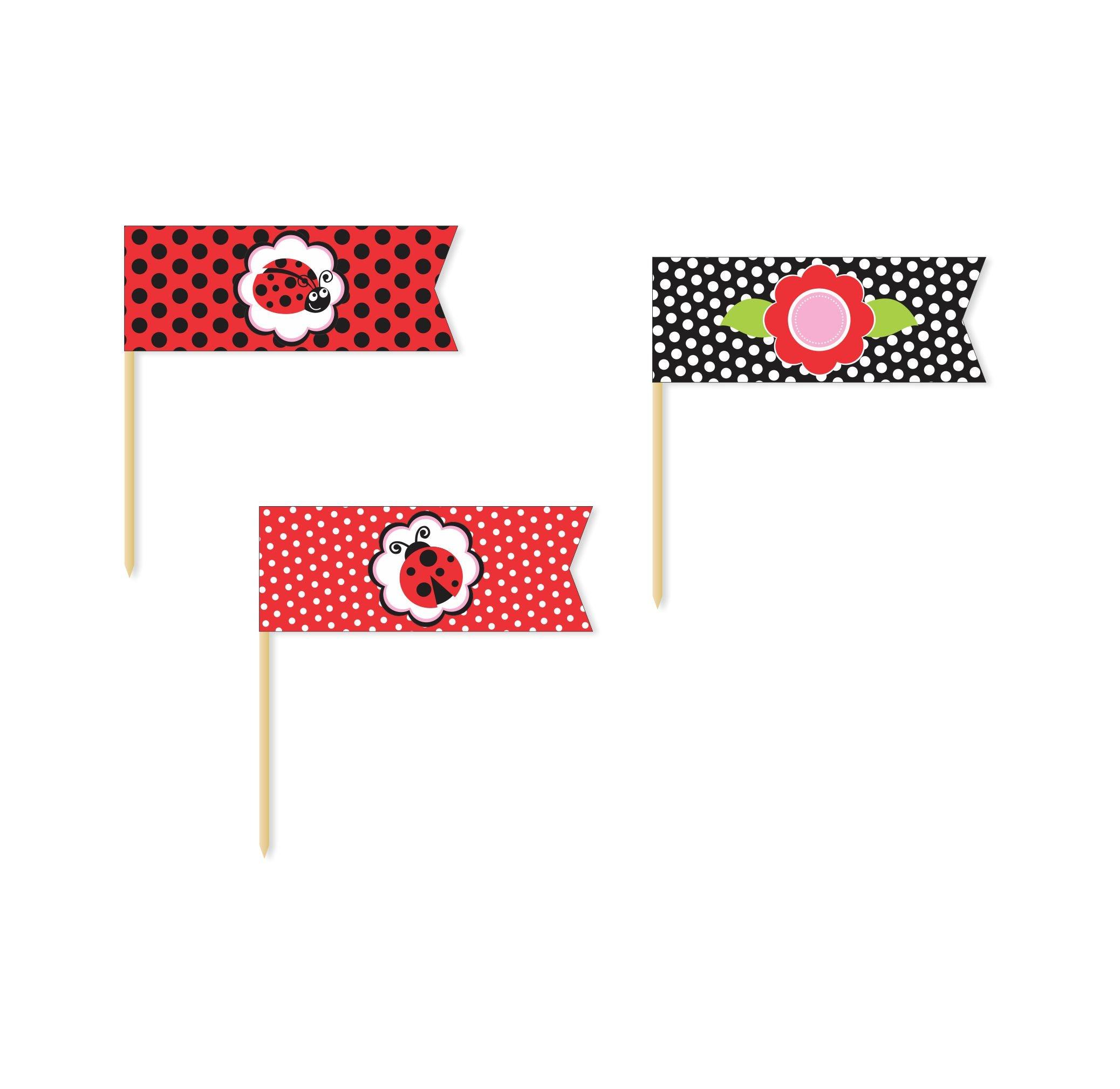 Lady Bug Picks THEME PARTIES Pretty UR Party   