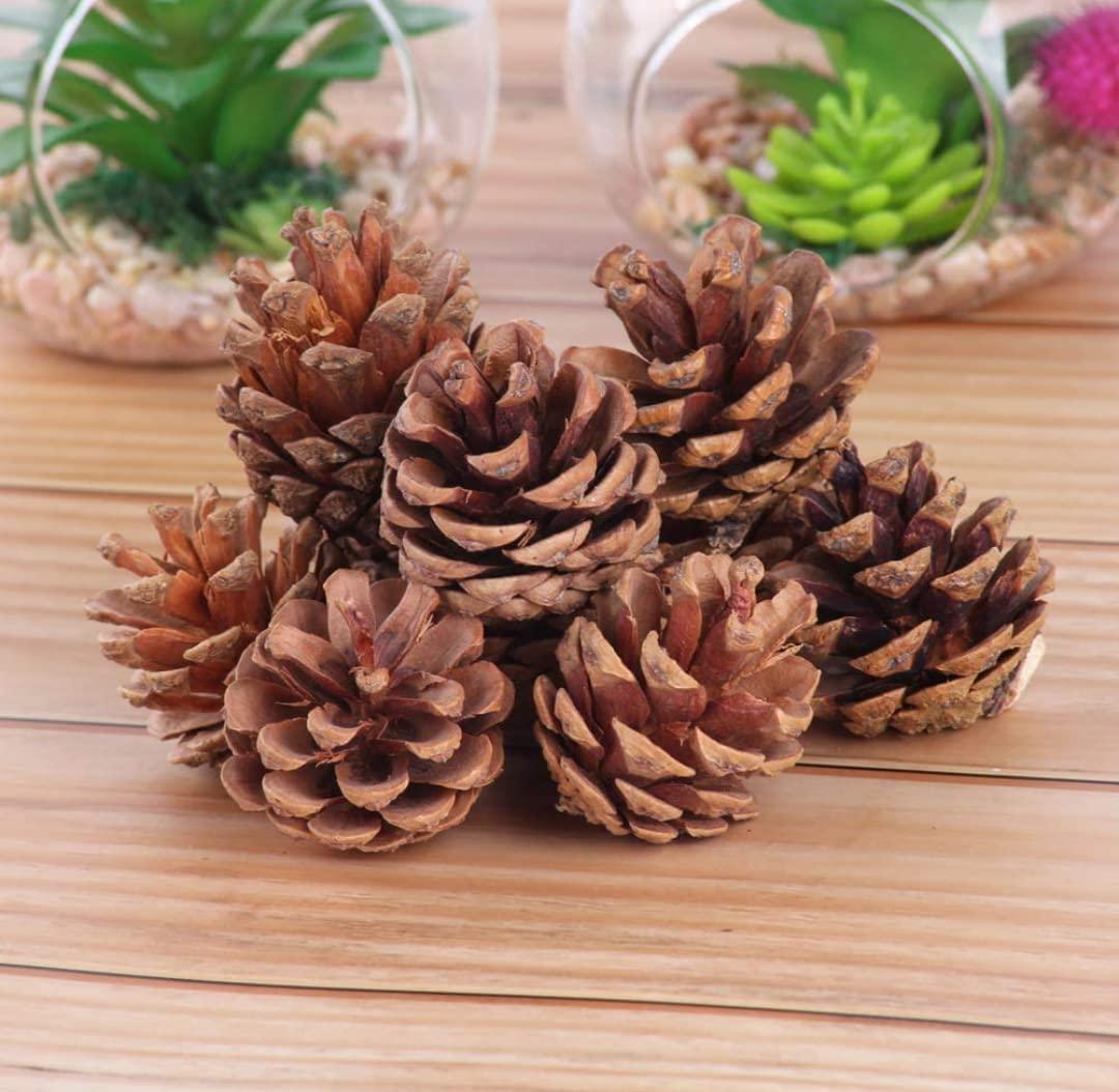 Christmas Decoration Wooden Pine Cones Hanging Ornaments - 12 pcs DECORATIONS Pretty UR Party   
