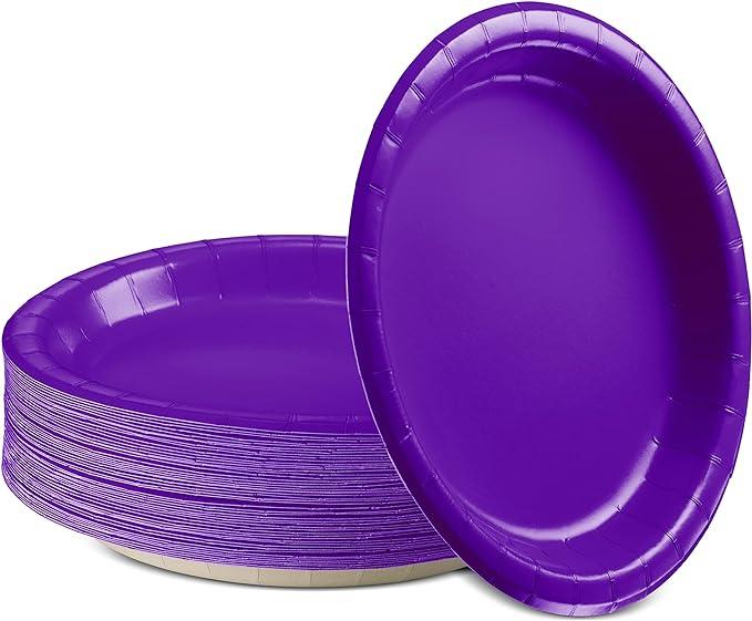 Purple Paper Plates - Pack of 10 TABLEWARE Pretty UR Party   