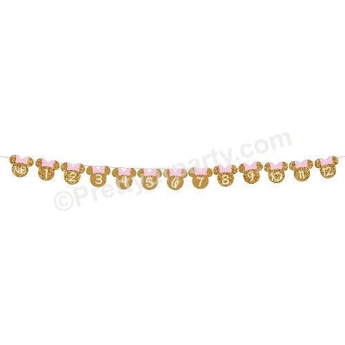 Pink and Gold Shaped Monthly Photo Banner THEME PARTIES Pretty UR Party