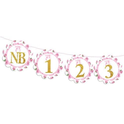 Shabby Chic Monthly Photo Banner for Baby Girls DECORATIONS Pretty UR Party   