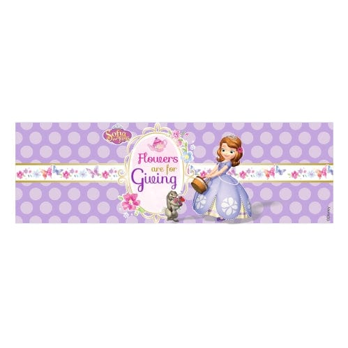 Sofia the first Enchanted Garden Party Napkin Rings THEME PARTIES Pretty UR Party With Name  