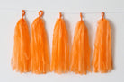 Orange Tassel Garland Kit - Set of 5 THEME PARTIES Pretty UR Party   