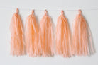 Peach Tassel Garland Kit - Set of 5 DECORATIONS Pretty UR Party   