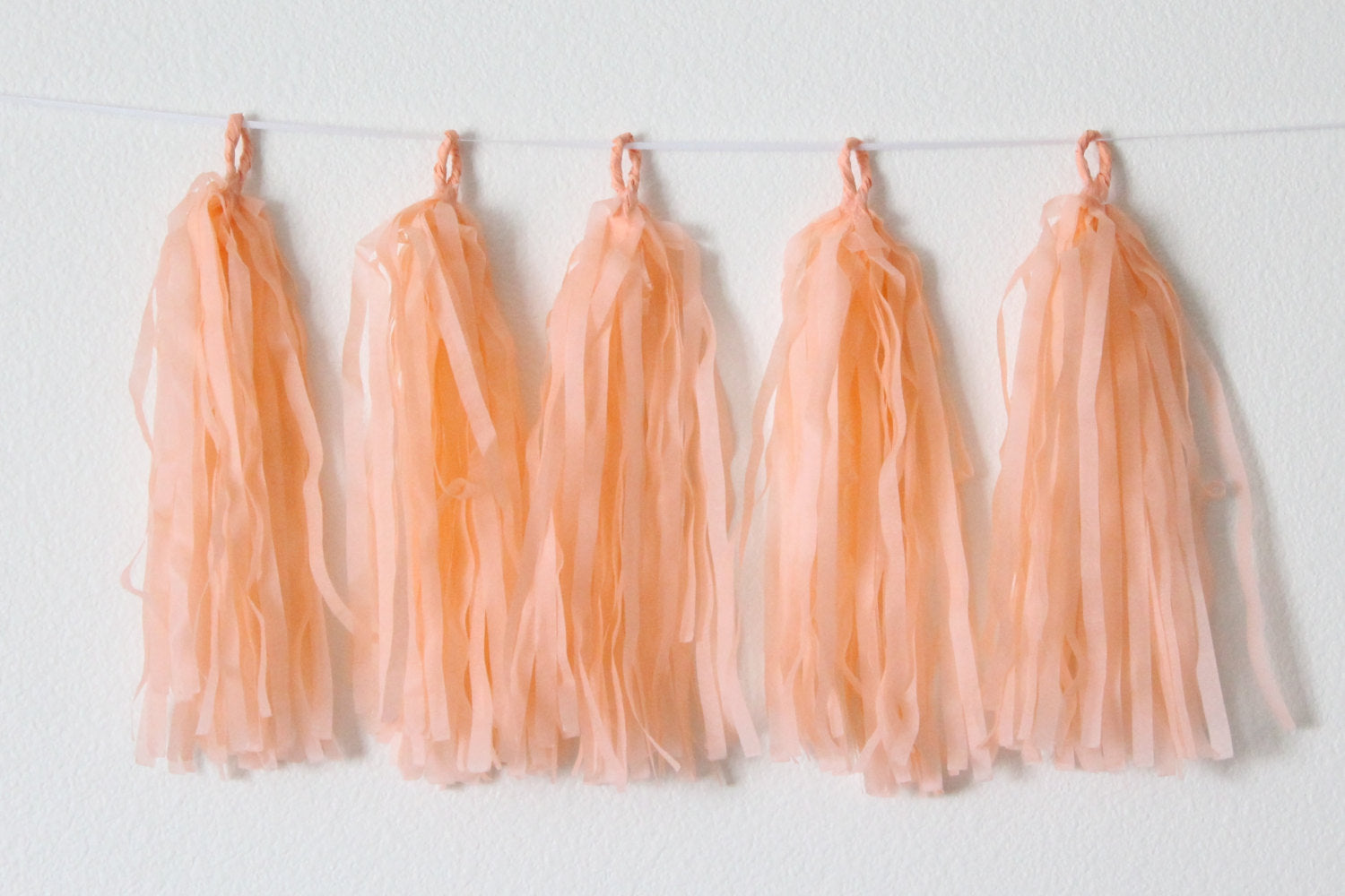 Peach Tassel Garland Kit - Set of 5 DECORATIONS Pretty UR Party   