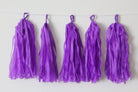 Purple Tassel Garland Kit - Set of 5 THEME PARTIES Pretty UR Party   