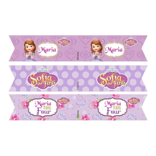 Sofia the first Enchanted Garden Party Drink Straws THEME PARTIES Pretty UR Party Default Title  